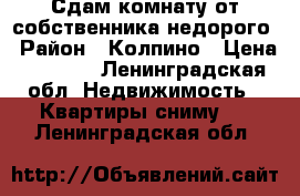 Сдам комнату от собственника недорого › Район ­ Колпино › Цена ­ 8 000 - Ленинградская обл. Недвижимость » Квартиры сниму   . Ленинградская обл.